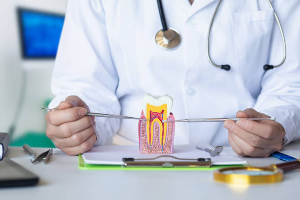 Best Pediatric Emergency Dentist in Englewood, FL